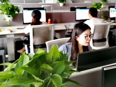 数字化转型的桥梁 上市外企如何通过天猫京东唯品会在线客服优化信息技术咨询服务